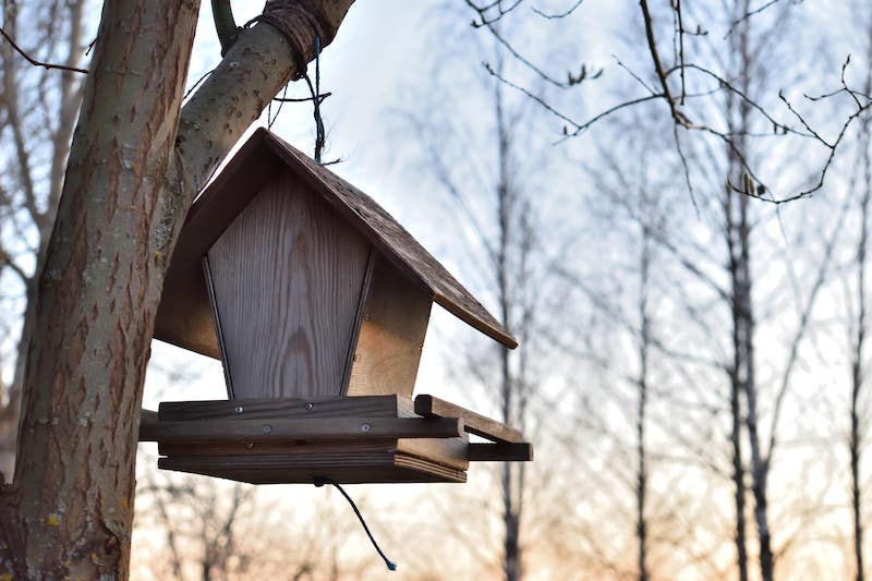 Birdhouse in Finland