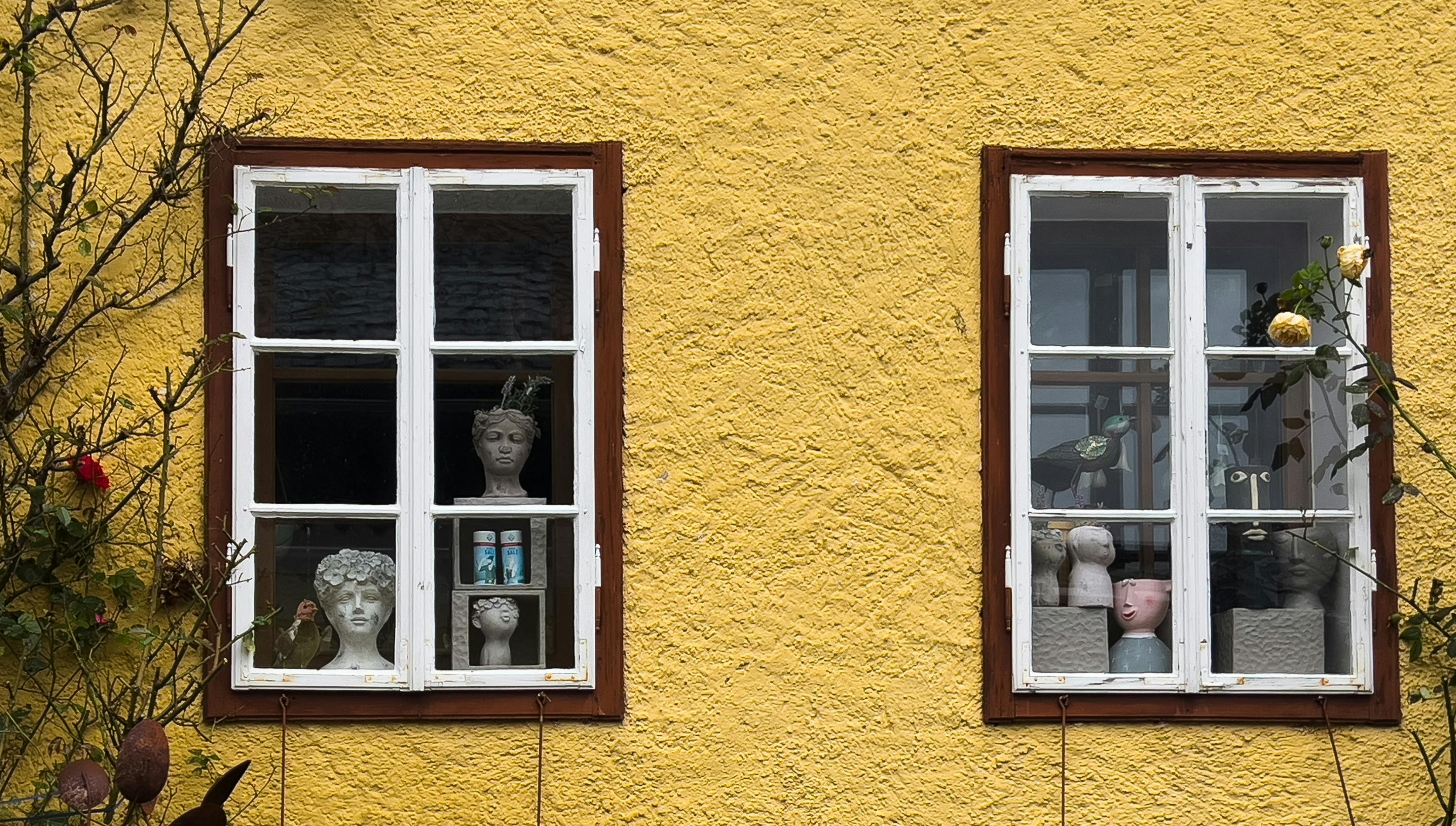 windonws on yellow house wall