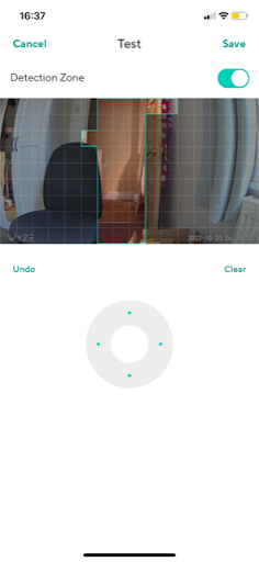 Wyze app detection screen - 'Painting' in a detection zone for the camera