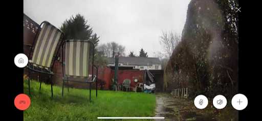 Ring app screenshot showing livestream (backyard).