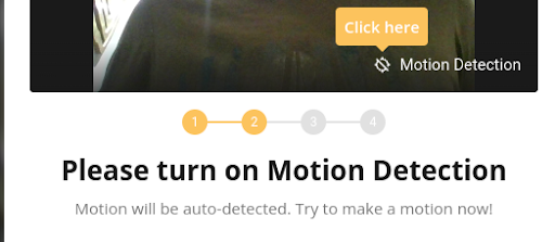 turn on motion detection