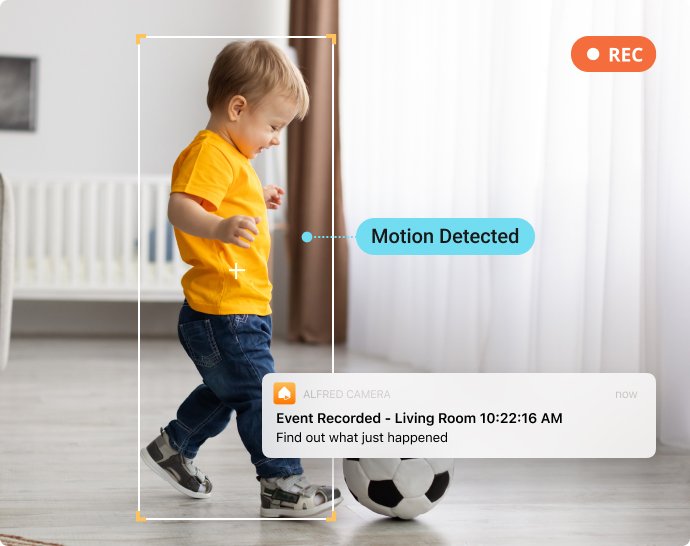 Motion Detection & Notifications